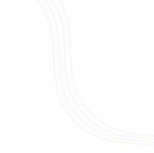PSEPL